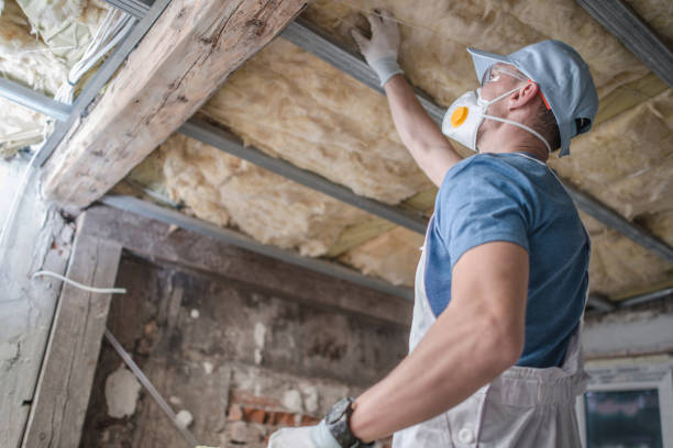 Best Insulation Materials and Products in Maunawili, HI