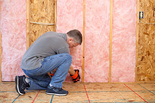 Best Residential Insulation in Maunawili, HI