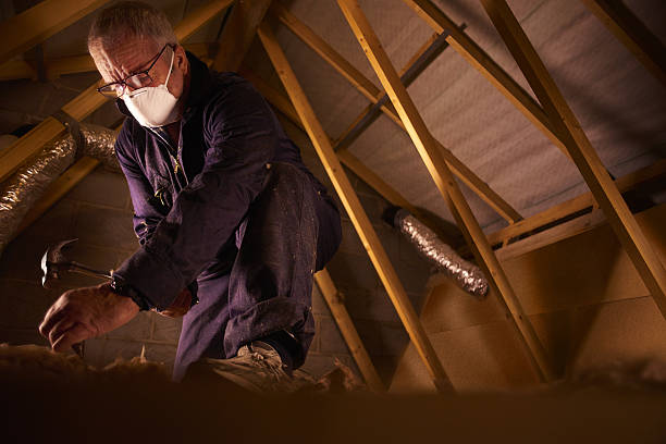 Best Insulation Installation Services in Maunawili, HI